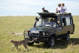 Game drive at Sala's Camp