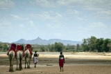 Camel safari at Sasaab