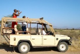 Game drive at Elephant Bedroom Camp
