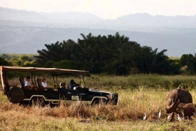 Elsa's game drive - rhino 2