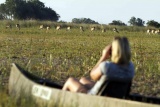 Viewing letchwe from mokoro, Camp Okavango