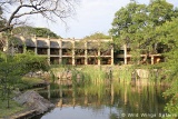 Kingdom Hotel rooms overlooking the hotel's lake