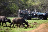 Game drive at Phinda Private Reserve, KwaZulu-Natal