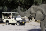 Game drive at Damaraland Camp