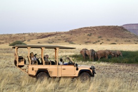 Game Drive at Desert Rhino Camp, Palmwag, Namibia