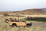 Game drive near Desert Rhino Camp