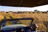 Game Drive, Namushasha River Lodge, north-eastern Caprivi, Namibia