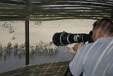 Leroo La Tau photography safari