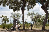 Walking Safari at Khwai River Lodge