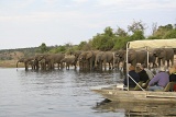 Chobe River cruise