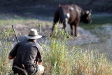 Buffalo seen on bush walk, Senalala