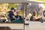 Elephant on Game Drive, Rra Dinare Camp, Botswana