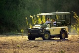 Hamiltons Tented Camp game drive through Kruger National Park