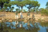 Bush walk at Kings Camp