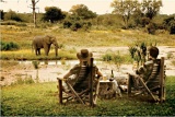 Motswari Water Hole
