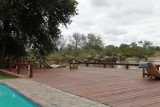 Gomo Swimming Deck