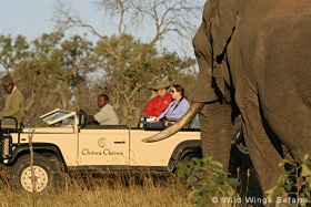 Game drive and elephant