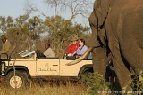 Chitwa game drive and elephant