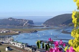 Elephant Hide of Knysna