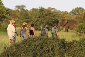 Plains Camp Walking