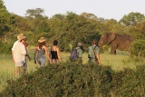 Plains Camp Walking
