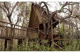 Exterior View of Tree House at Jaci's Tree Lodge, Madikwe Game Reserve