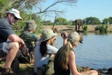 Walking safaris give you close encounters with wildlife at Greenfire