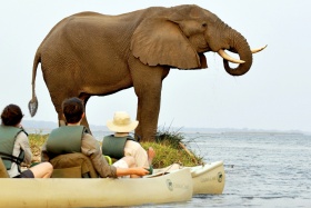 Chiawa elephant by canoe