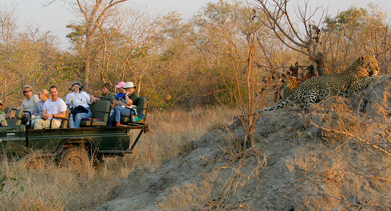 Leopard-sabi-sand by A game drive in the Sabi Sand Reserve Leopard-sabi-sand by A game drive in the Sabi Sand Reserve