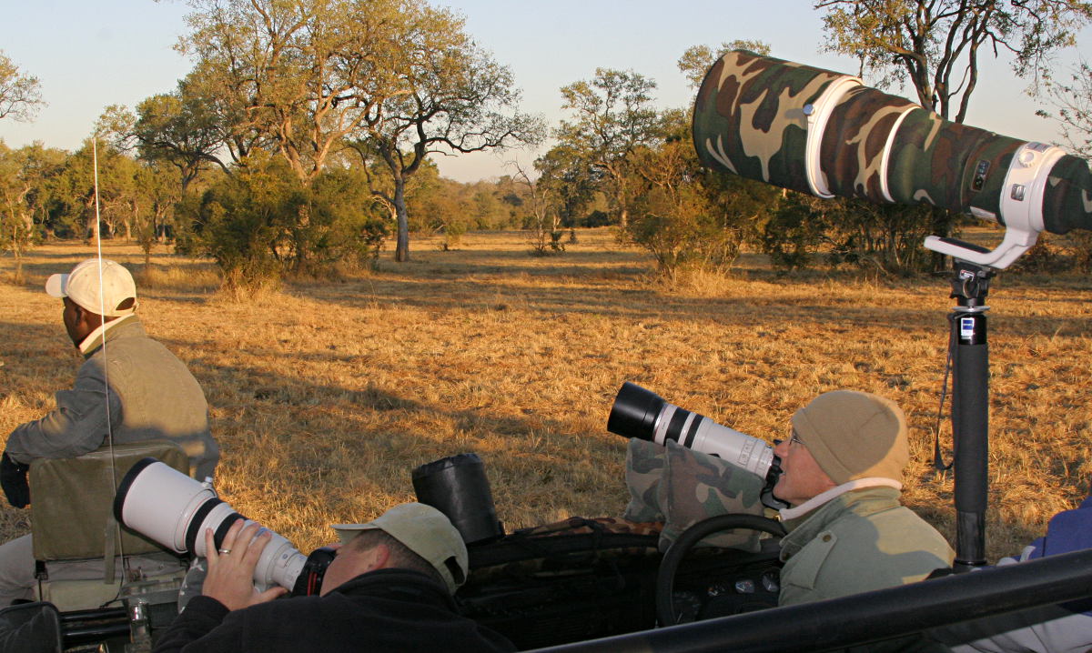 Wildlife Photography Photography Equipment For Wildlife