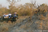Timbavati Game Reserve