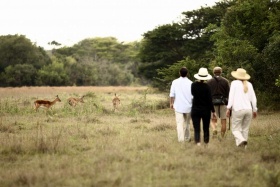 Bush walk at Phinda Game Reserve