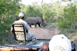 Open safari rhino viewing Greater Kruger Park