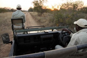 Klaserie game drives in open vehicles