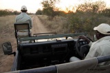 Klaserie game drives in open vehicles