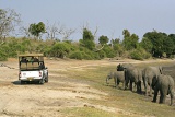 Chobe National Park, Botswana
