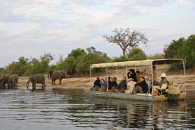 Chobe National Park