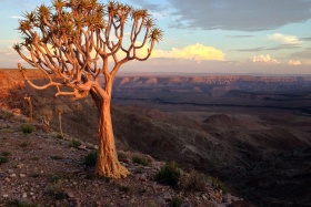 Overlooking Fish River Canyon