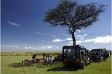 Bush breakfast at Kicheche Bush Camp