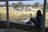 Watching Waterhole Visitors, Andersson's Camp, Etosha, Namibia