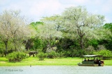 Game Viewing by By Boat, Rufiji River Camp