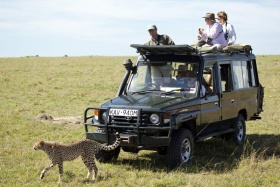 Sala's camp - game drive