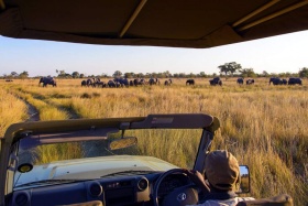 Game Drive, Namushasha River Lodge