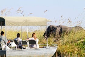 Camp Xakanaxa River Safari