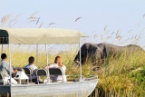 Camp Xakanaxa Safari by River Boat