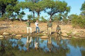 Bush walk at Kings Camp
