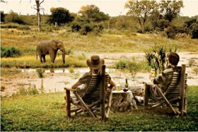 Motswari Water Hole