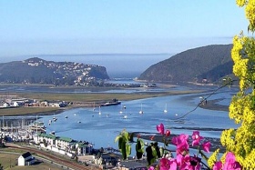 Elephant Hide of Knysna