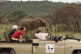 Elephants viewed from open safari vehicles, Thakadu River Camp, Madikwe