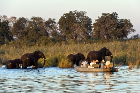 DumaTau elephant watching